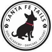 santa fe tails dog daycare